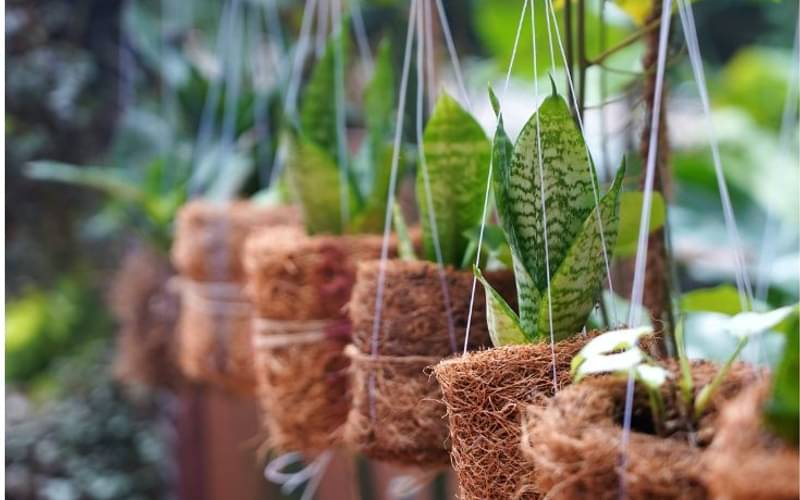 Best out of coir waste