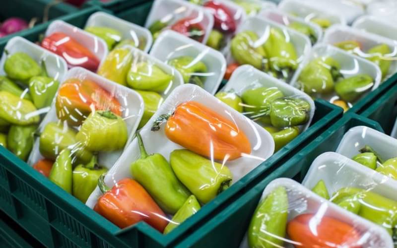 Antimicrobial technology: innovation to tackle plastic pollution