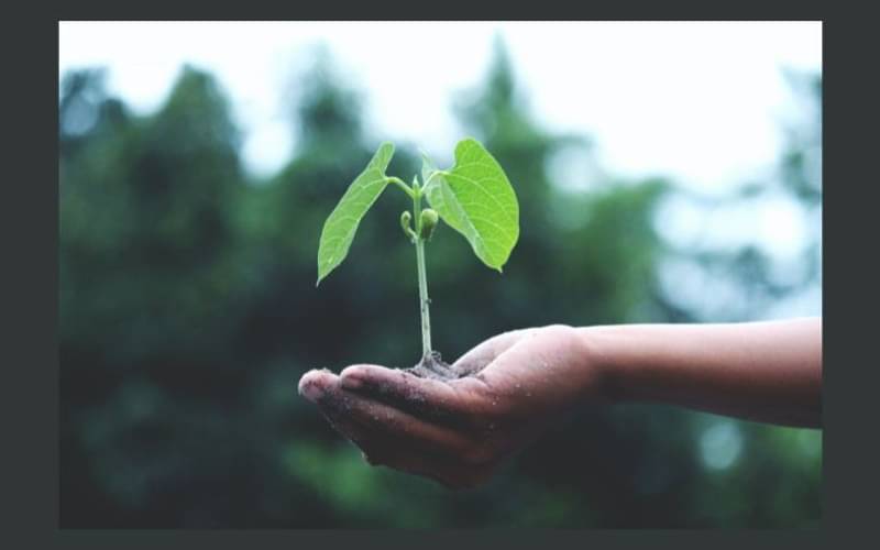 Sustainability success for Flint Group with improved EcoVadis rating