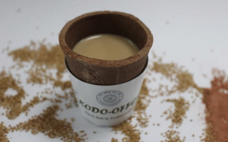 IIT Roorkee develops millet-based edible cup